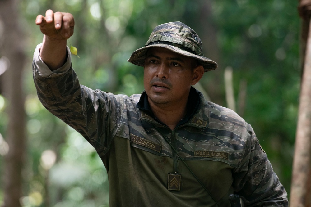 Panamanian and USMC members learn about flora and fauna during jungle survival course