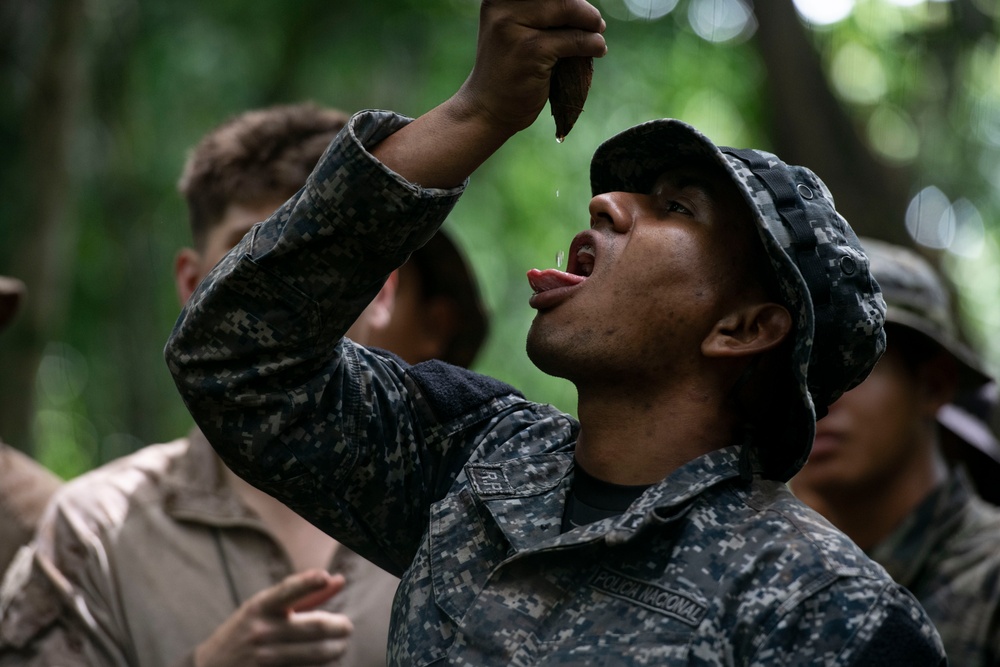 Panamanian and USMC members learn about flora and fauna during jungle survival course
