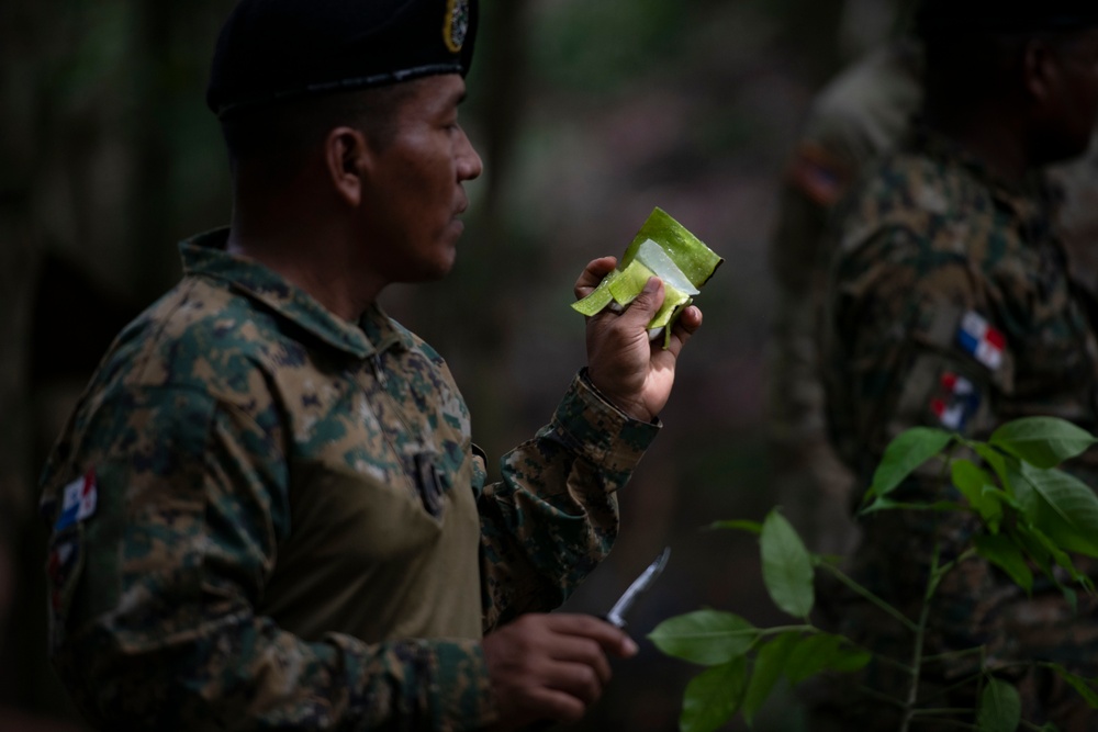 Panamanian and USMC members learn about flora and fauna during jungle survival course