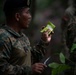 Panamanian and USMC members learn about flora and fauna during jungle survival course