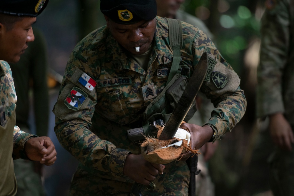 Panamanian and USMC members learn about flora and fauna during jungle survival course