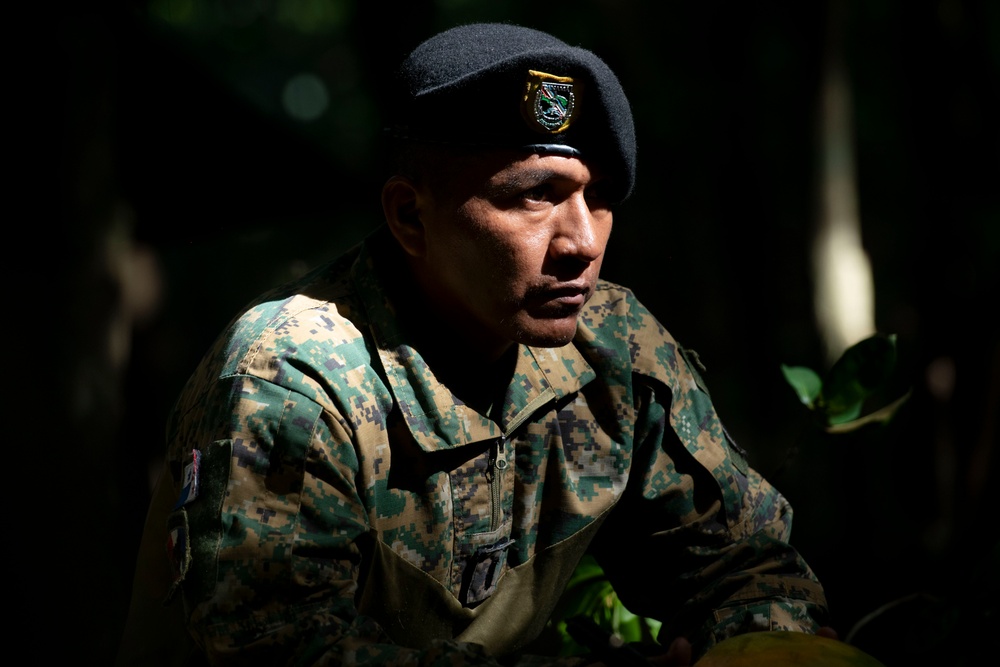Panamanian and USMC members learn about flora and fauna during jungle survival course