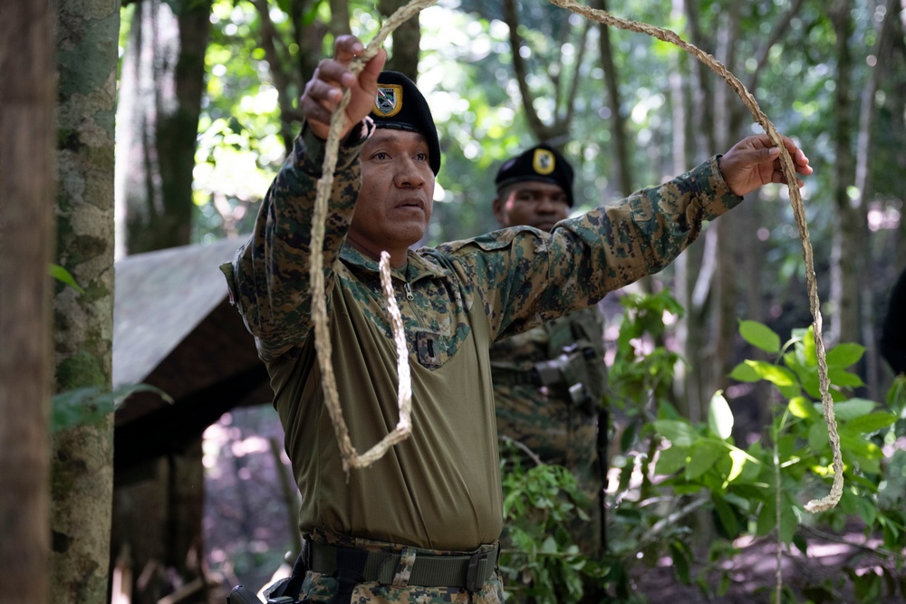 Panamanian and USMC members learn about flora and fauna during jungle survival course