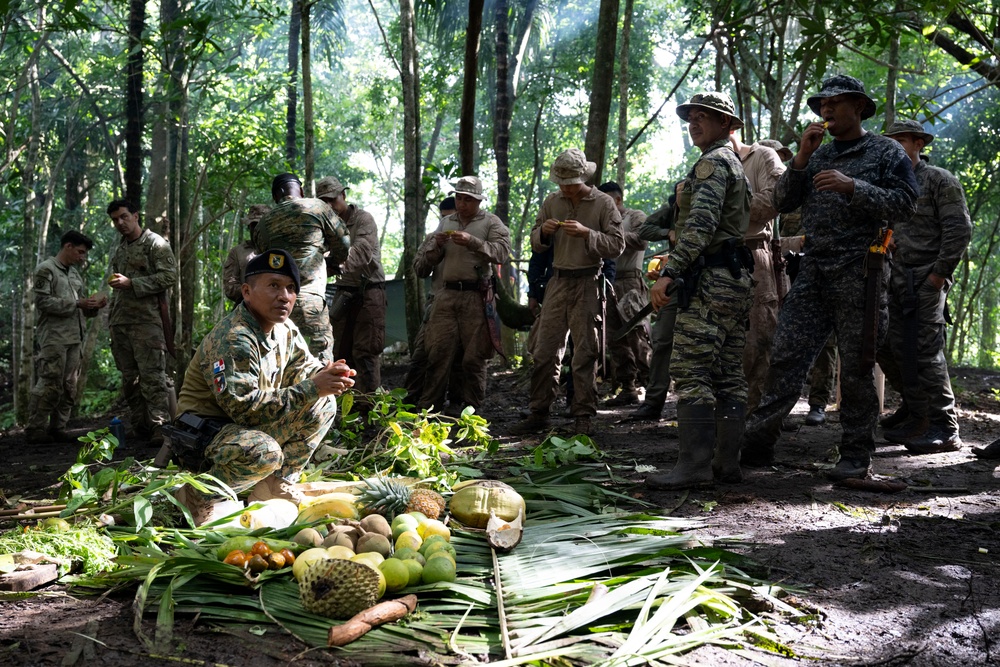 Panamanian and USMC members learn about flora and fauna during jungle survival course