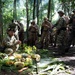 Panamanian and USMC members learn about flora and fauna during jungle survival course