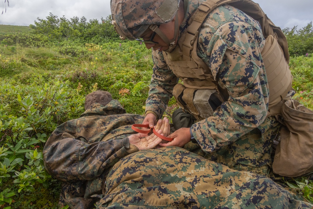 3rd LAAD assists 4th LE Battalion with detainee training