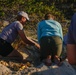 Shells Up! Time to save the turtles!
