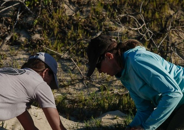Shells Up! Time to save the turtles!