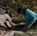 Shells Up! Time to save the turtles!