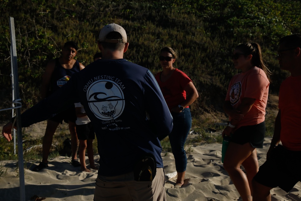 Shells Up! Time to save the turtles!