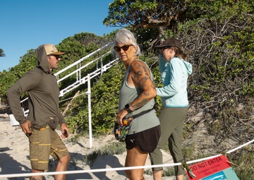 Shells Up! Time to save the turtles!