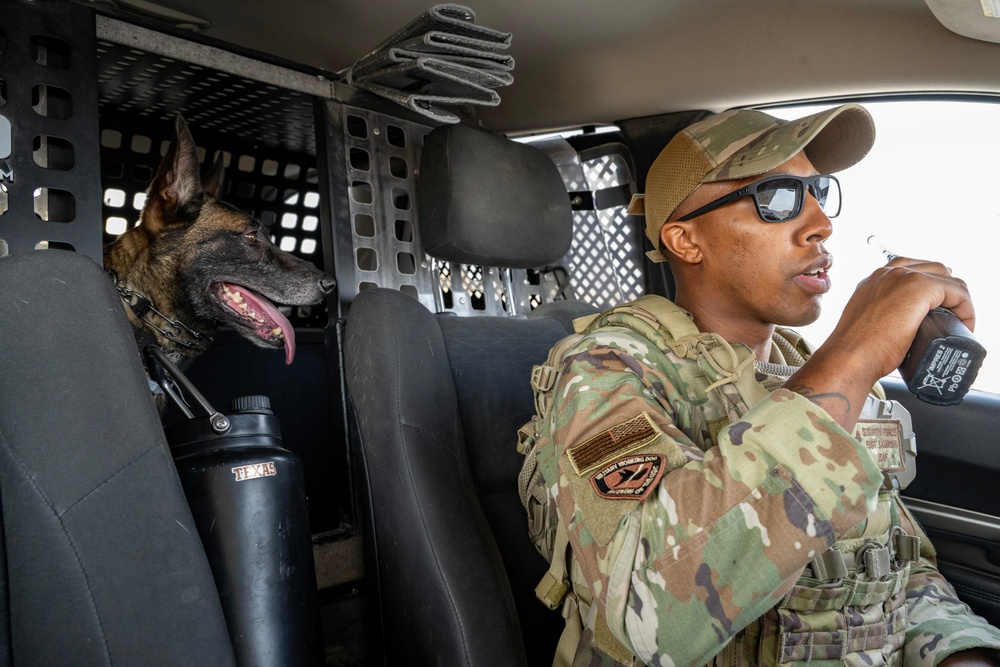 Paws on Patrol