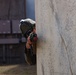 Marine Wing Support Squadron 174 hosts exercise Toxic Swell 25