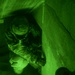 386th ECES sharpens CBRN skills in underground exercise