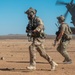 Exercise Blue Phoenix