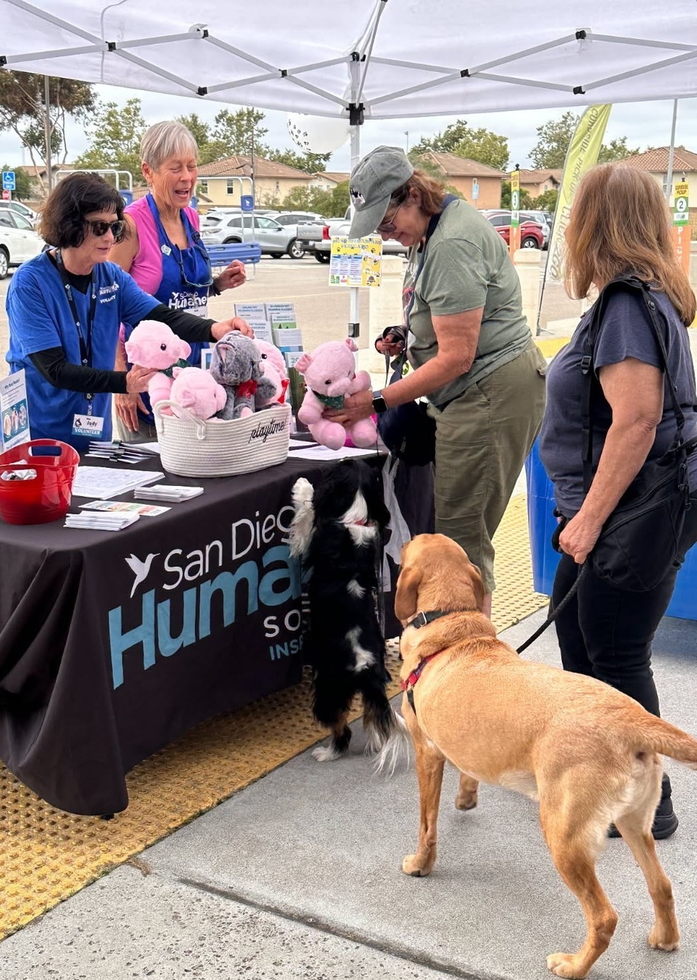 Pet expos help commissaries draw attention to extra patron savings for food, medicines, supplies