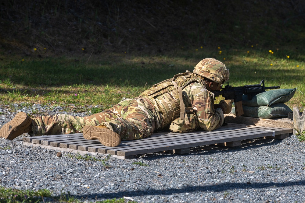 U.S. Army Europe and Africa Best Squad Competition: Ranges