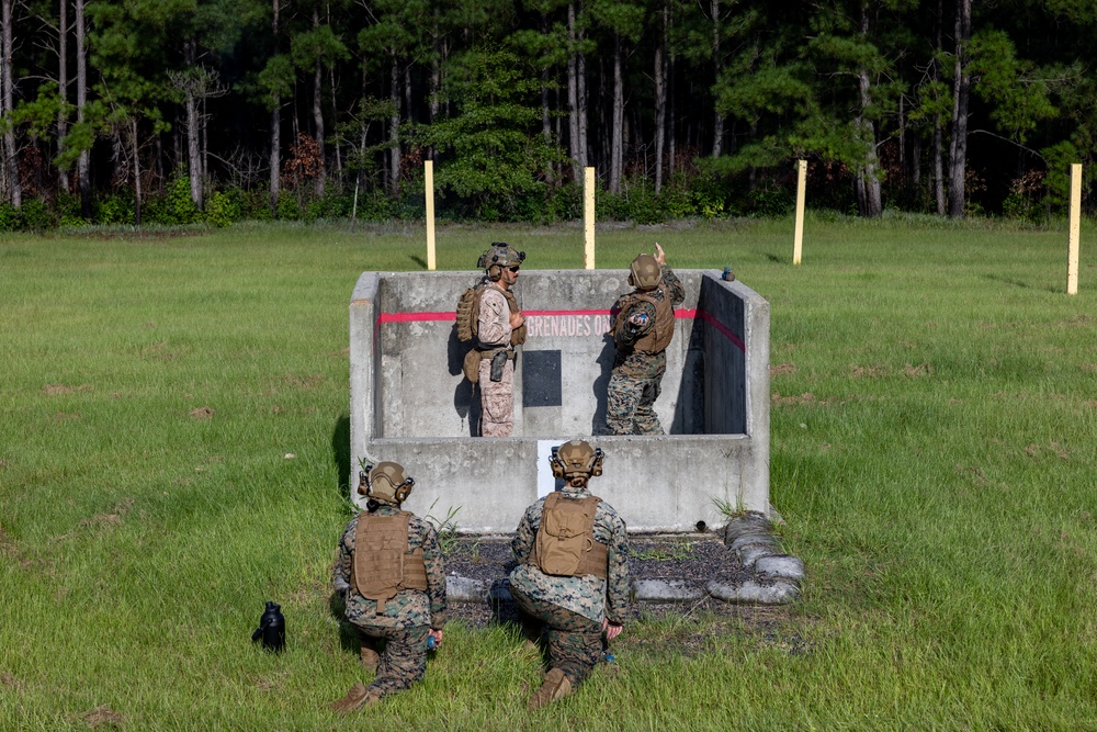 Marines with School of Infantry - East train to throw grenades