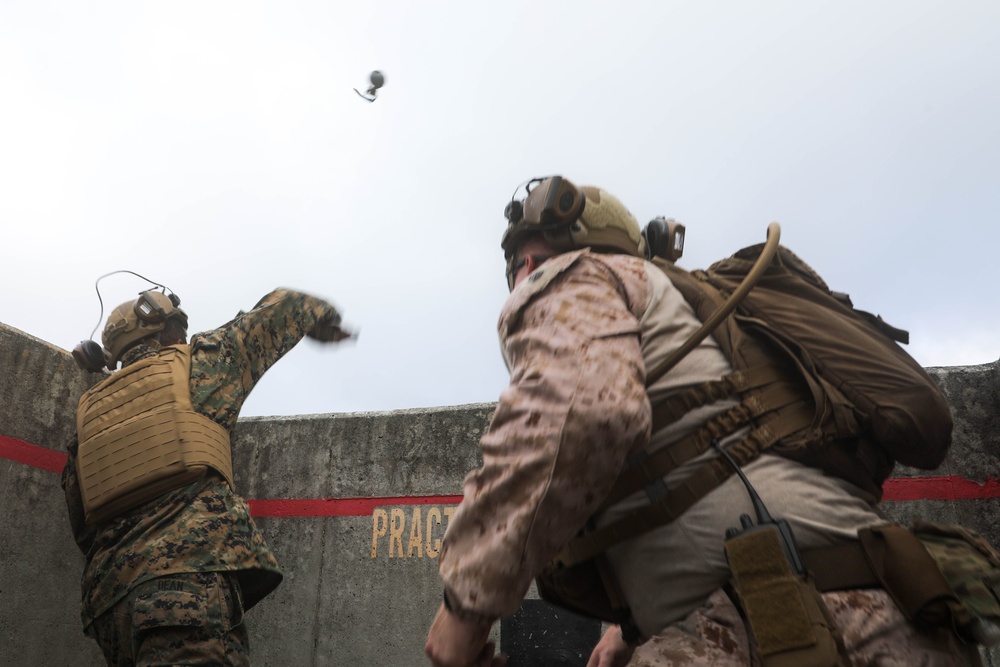 Marines with School of Infantry – East train to throw grenades