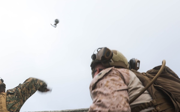 Marines with School of Infantry – East train to throw grenades