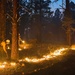 Wildfire response during training proves OKGuard ready to fight fires