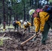 Wildfire response during training proves OKGuard ready to fight fires