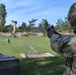 USAREUR-AF Best Squad Competition: M17 Pistol Qualification