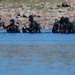 U.S. Navy EOD Mobile Unit 11 conducts diving operations during Arctic Edge 2025