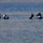 U.S. Navy EOD Mobile Unit 11 conducts diving operations during Arctic Edge 2025