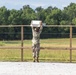 Marksmanship Advisory Council (MAC) Region 5 Competition