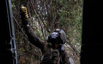 Exercise Toxic Swell 25