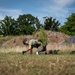 Spangdahlem EOD Hosts 2025 Eifel Krabben IED Rodeo