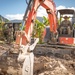 Digging For Foundation