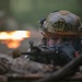 MacDill's Reserve Defenders tackle Air Force Reserve Integrated Defense Leadership Course
