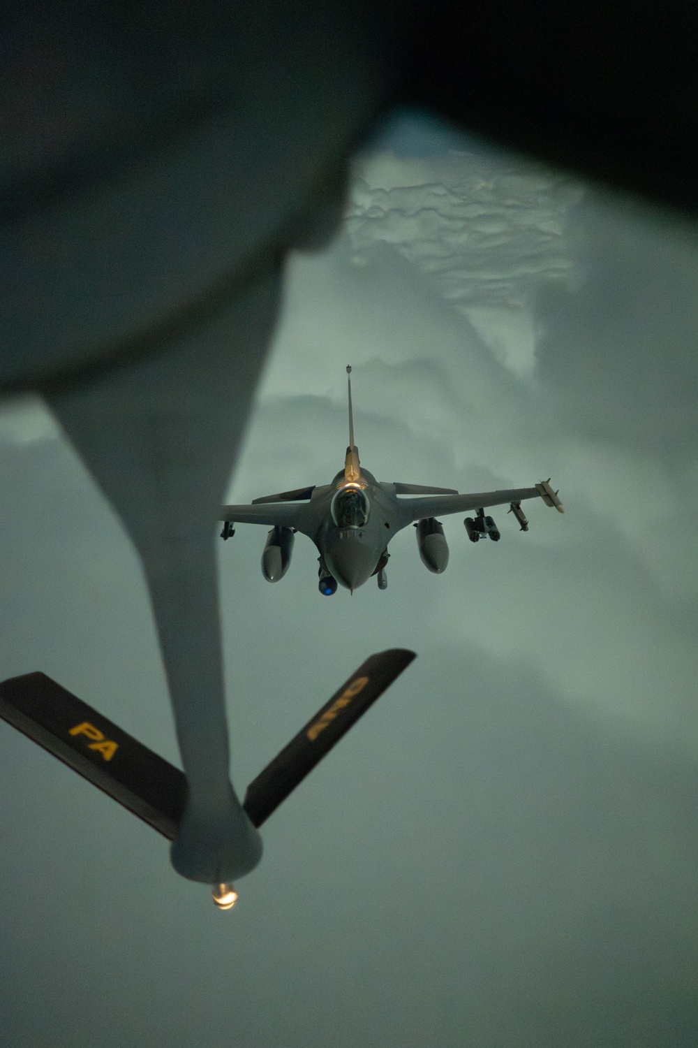 Falcons In The Moonlight