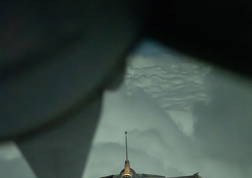 Falcons In The Moonlight