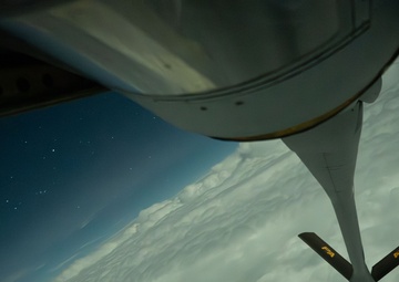 Falcons In The Moonlight