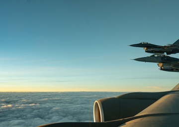 Falcons In The Moonlight