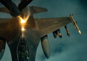 Falcons In The Moonlight