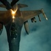 Falcons In The Moonlight