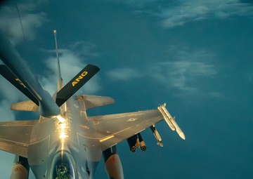 Falcons In The Moonlight