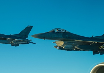 Falcons In The Moonlight