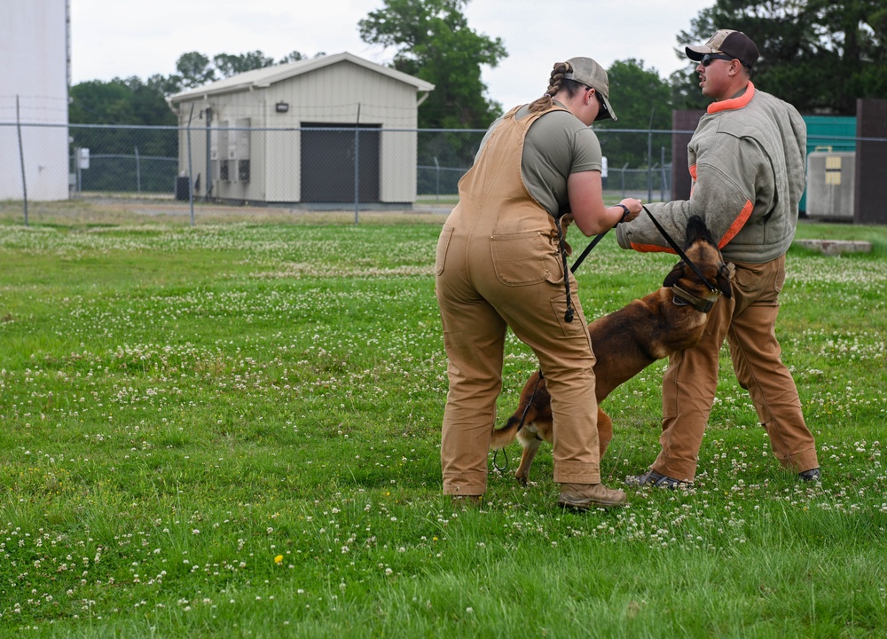 National Police Week: TLR honors law enforcement