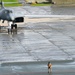345th EBS support BTF operations in Norway