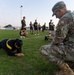U.S. Army Europe and Africa Best Squad Competition 2025