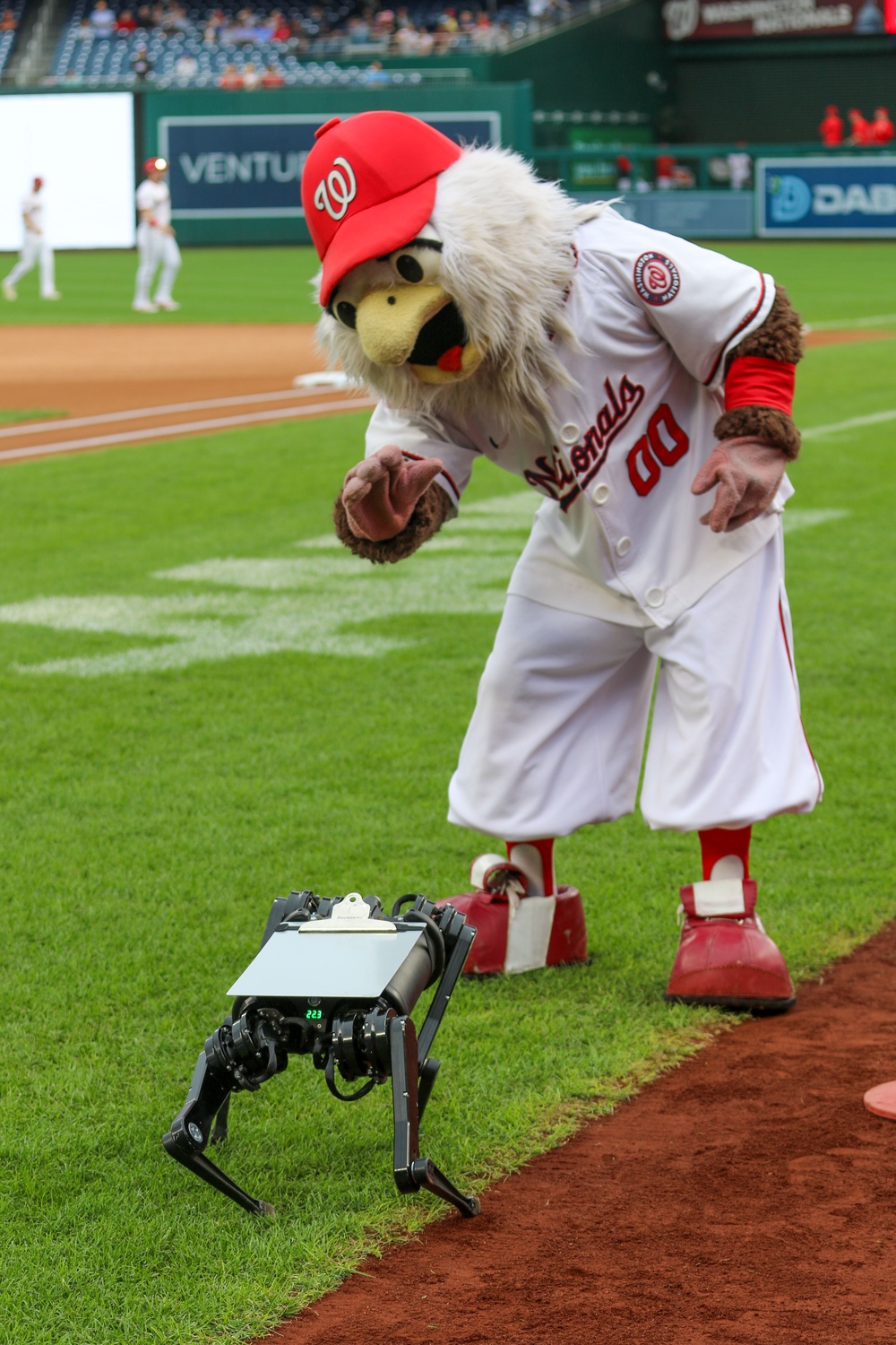 Washington Nationals Host U.S. Navy for Navy Day, Celebrates 250th Birthday