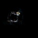 USSF-36 Launches from Kennedy Space Center