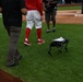 Washington Nationals Host U.S. Navy for Navy Day, Celebrates 250th Birthday