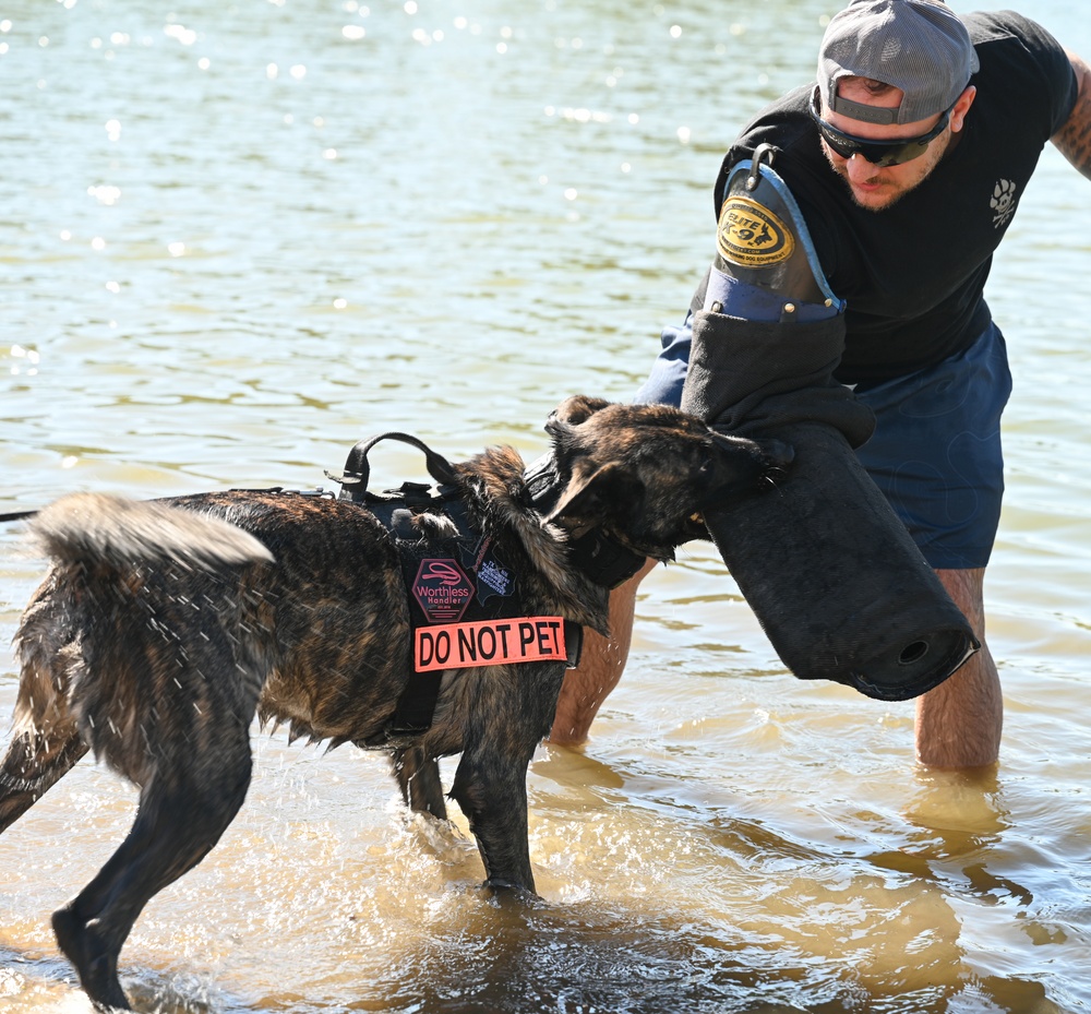 Military working dogs train at U.S. Air Force Academy