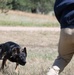 Military working dogs train at U.S. Air Force Academy